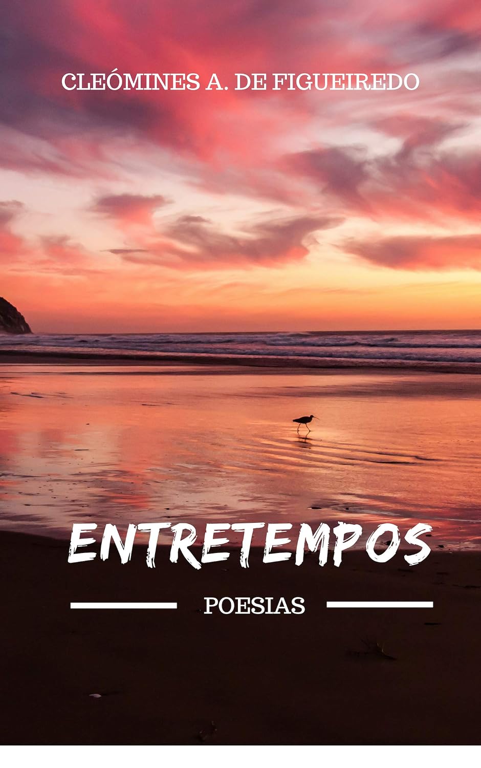 ENTRETEMPOS: POESIAS baixar o livro de graça