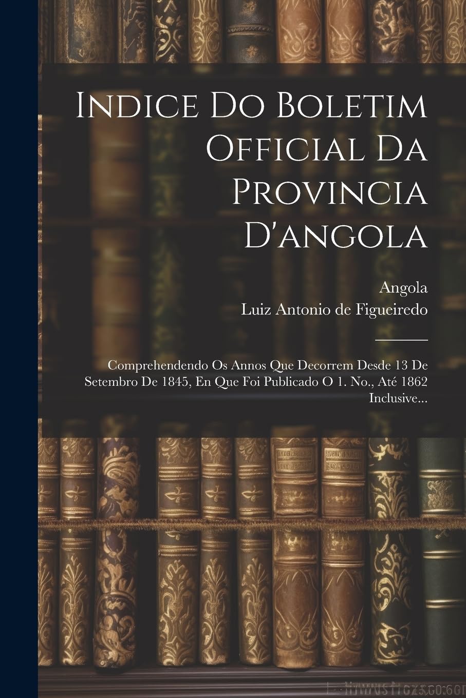 Indice Do Boletim Official Da Provincia D'angola: Comprehendendo Os Annos Que Decorrem Desde 13 De Setembro De 1845, En Que Foi Publicado O 1. No., Até 1862 Inclusive... baixar o livro de graça