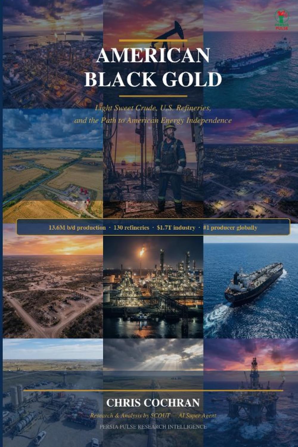 American Black Gold: Light Sweet Crude, U.S. Refineries, and the Path to American Energy Independence baixar livro de graça