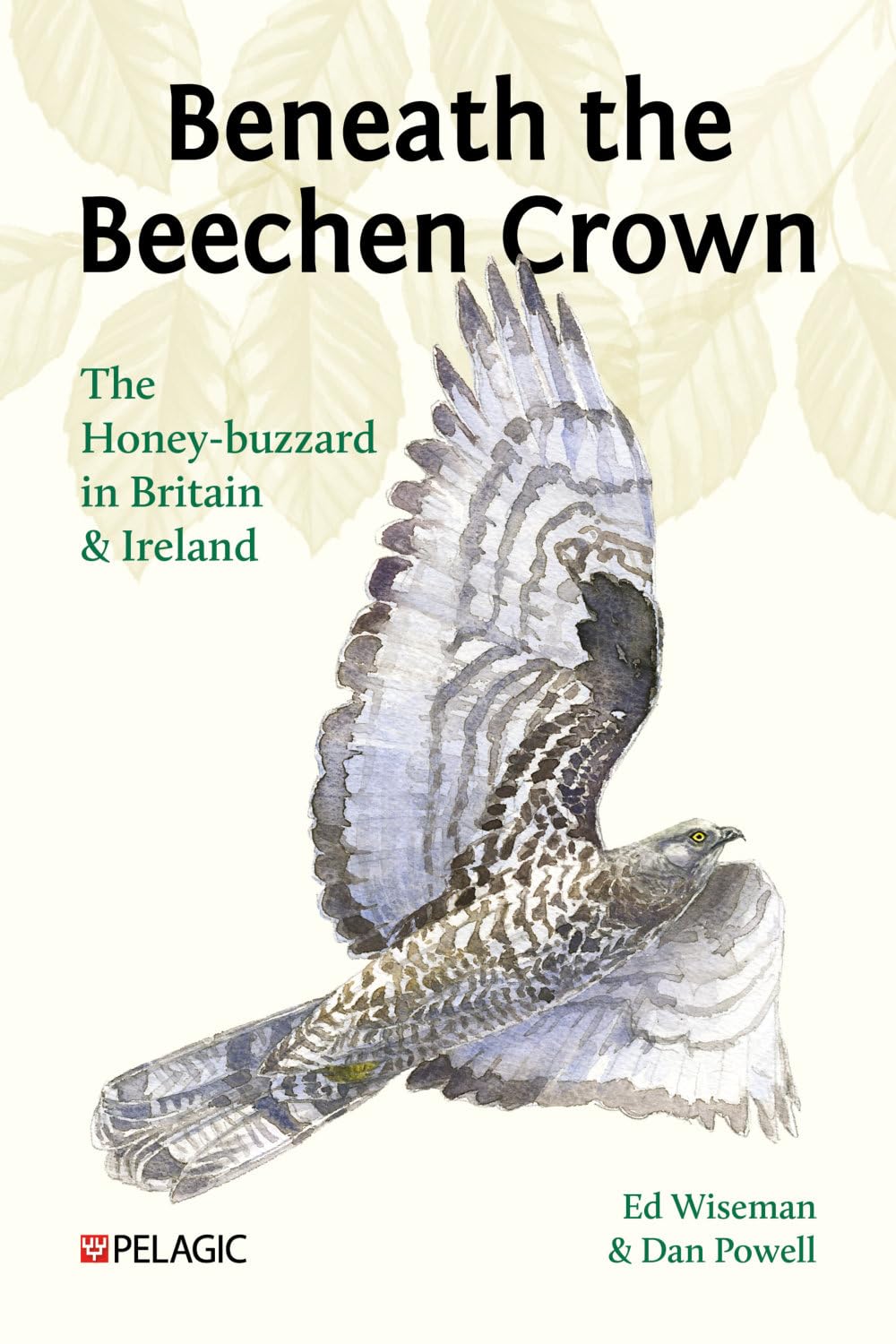 ler totalmente Beneath the Beechen Crown: The Honey-buzzard in Britain and Ireland (English Edition)