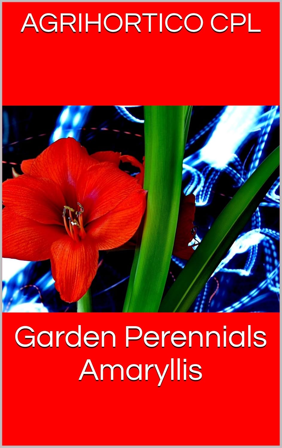 Garden Perennials Amaryllis (English Edition) baixar livro de graça