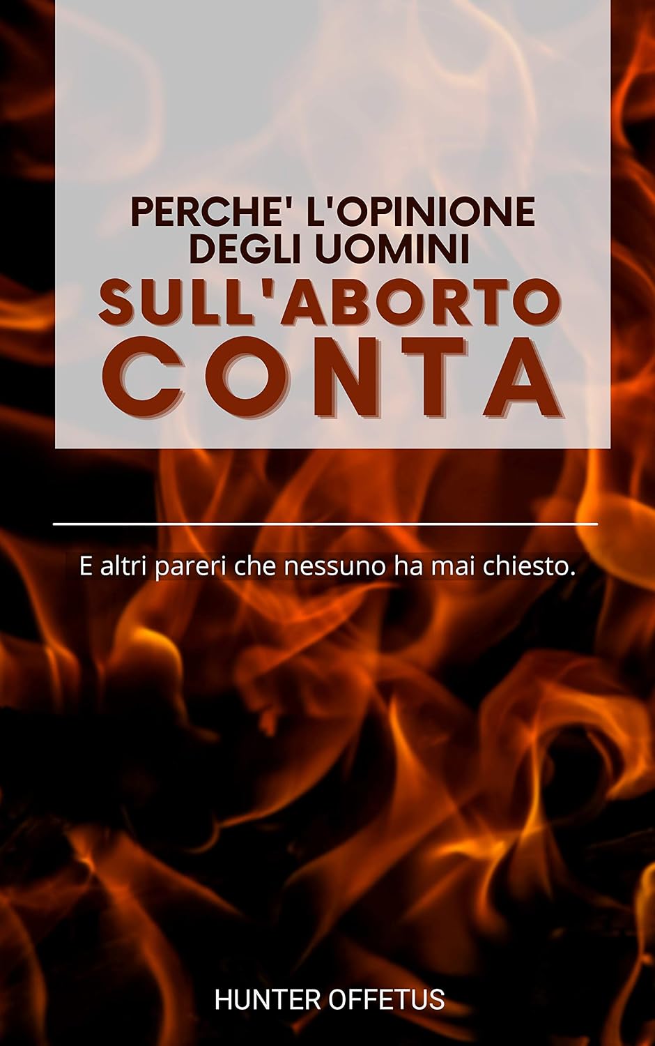 ler totalmente PERCHE' L'OPINIONE DEGLI UOMINI SULL'ABORTO CONTA: E altri pareri che nessuno ha mai chiesto. (Italian Edition)