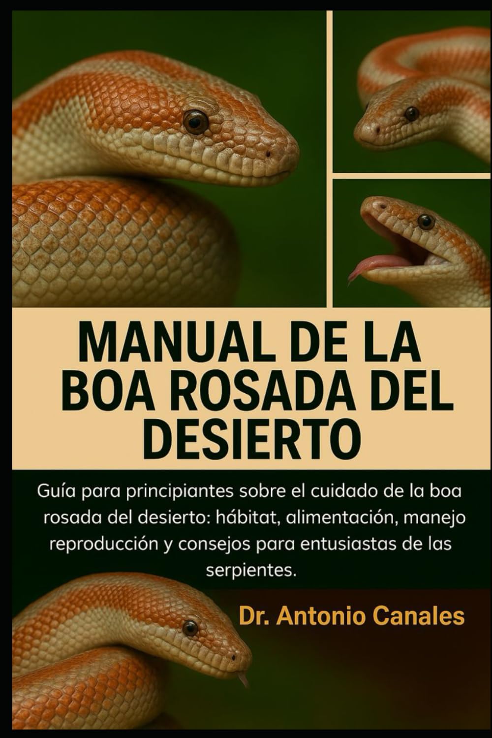 Manual de la Boa Rosada del Desierto: Guía para principiantes sobre el cuidado de la boa rosada del desierto: hábitat, alimentación, manejo, reproducción y consejos para entusiastas de las serpientes baixar o livro de graça
