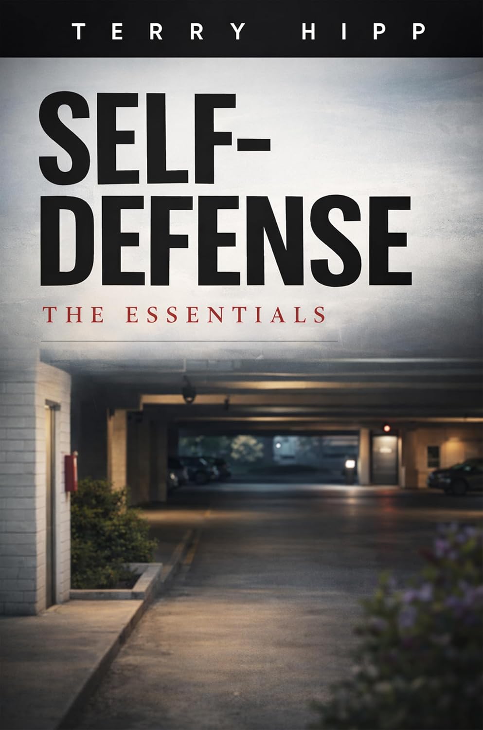 Self Defense: The Essentials (English Edition) baixar livro de graça