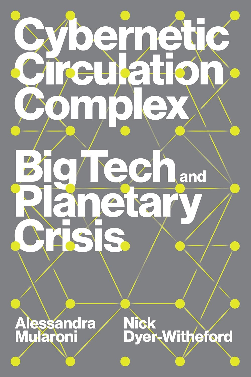 Cybernetic Circulation Complex: Big Tech and Planetary Crisis baixar o livro de graça