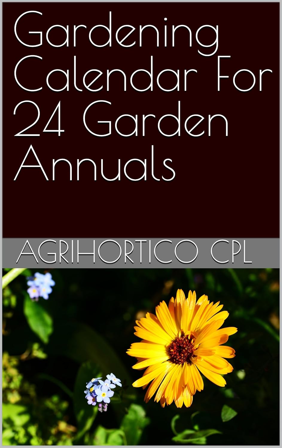 Gardening Calendar For 24 Garden Annuals (English Edition) baixar livro de graça