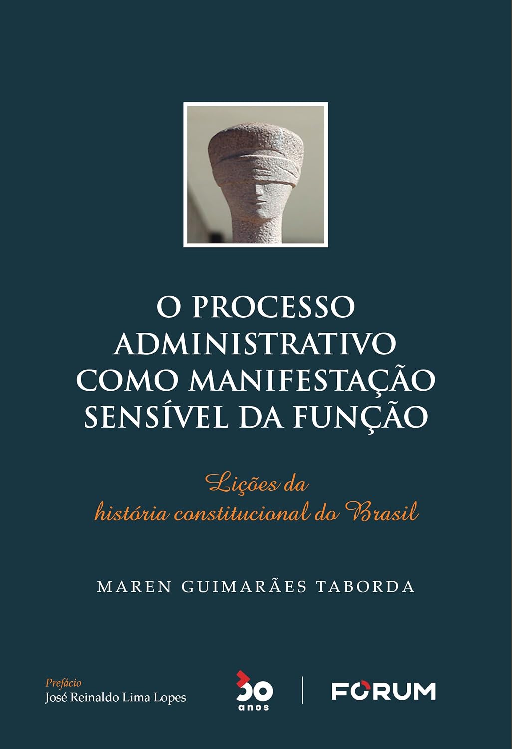 O processo administrativo como manifestação sensível da função: lições da história constitucional do Brasil baixar livro de graça