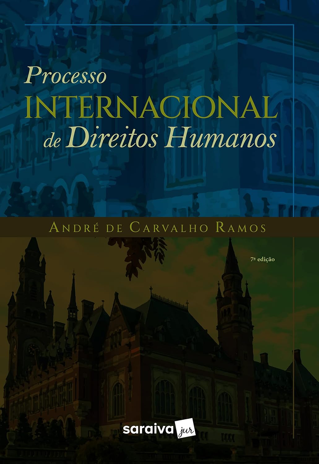 Processo Internacional de Direitos Humanos - 7ª Edição 2022 baixar livro de graça