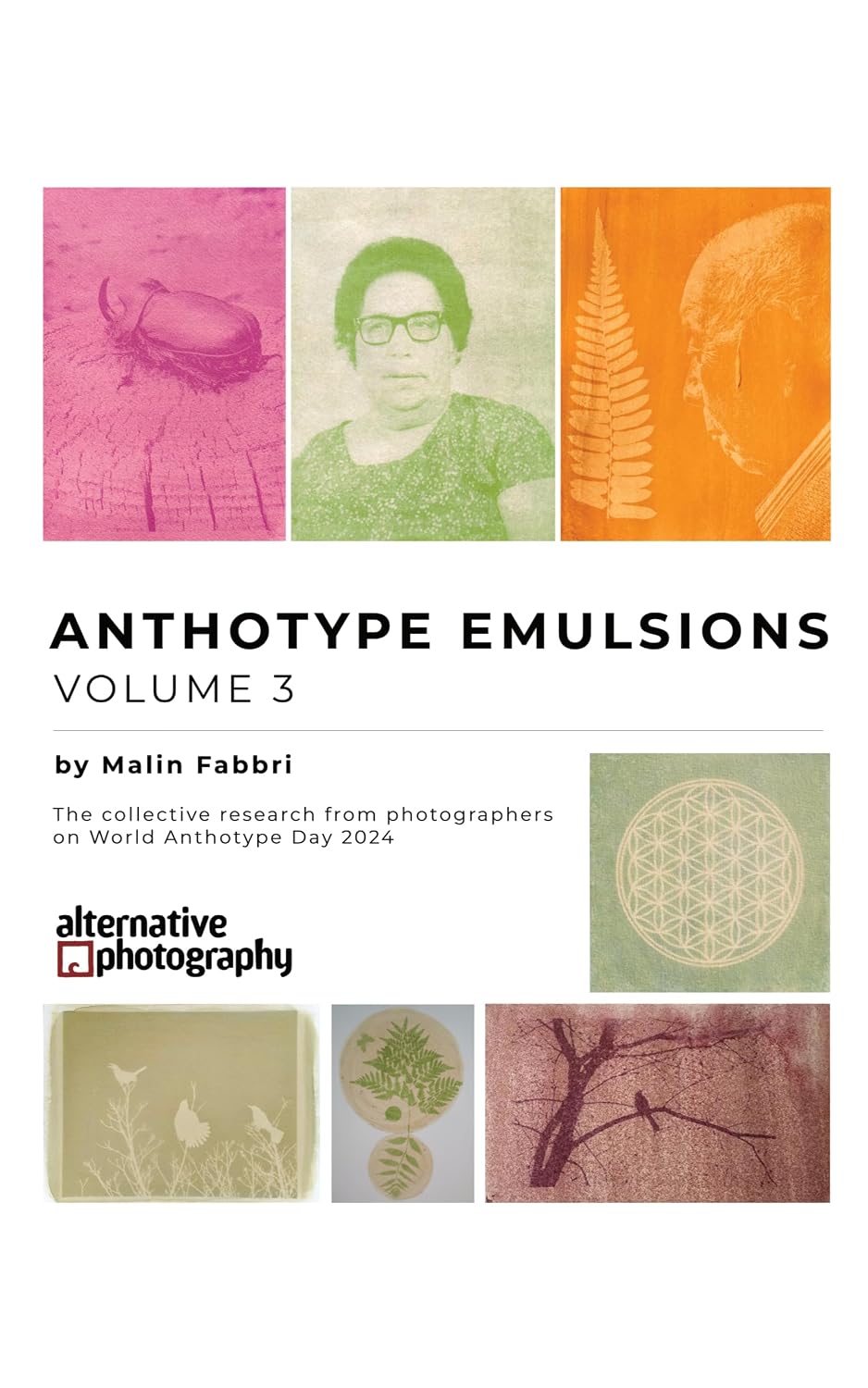 capítulo por capítulo baixar Anthotype Emulsions, Volume 3: The collective research from photographers on World Anthotype Day 2024 (Learn Alternative Photographic Processes) (English Edition)