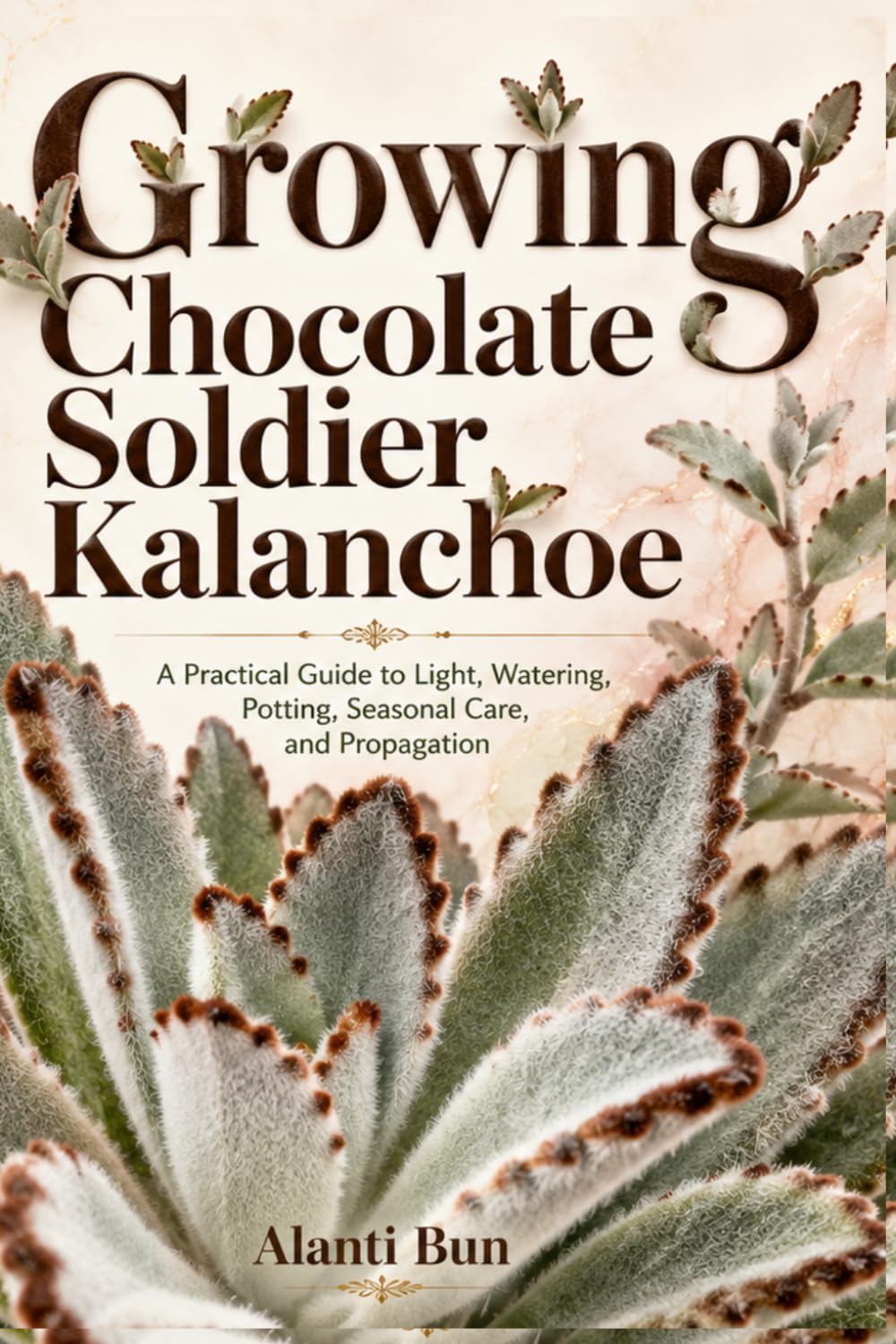 Growing Chocolate Soldier Kalanchoe: A Practical Guide to Light, Watering, Potting, Seasonal Care, and Propagation