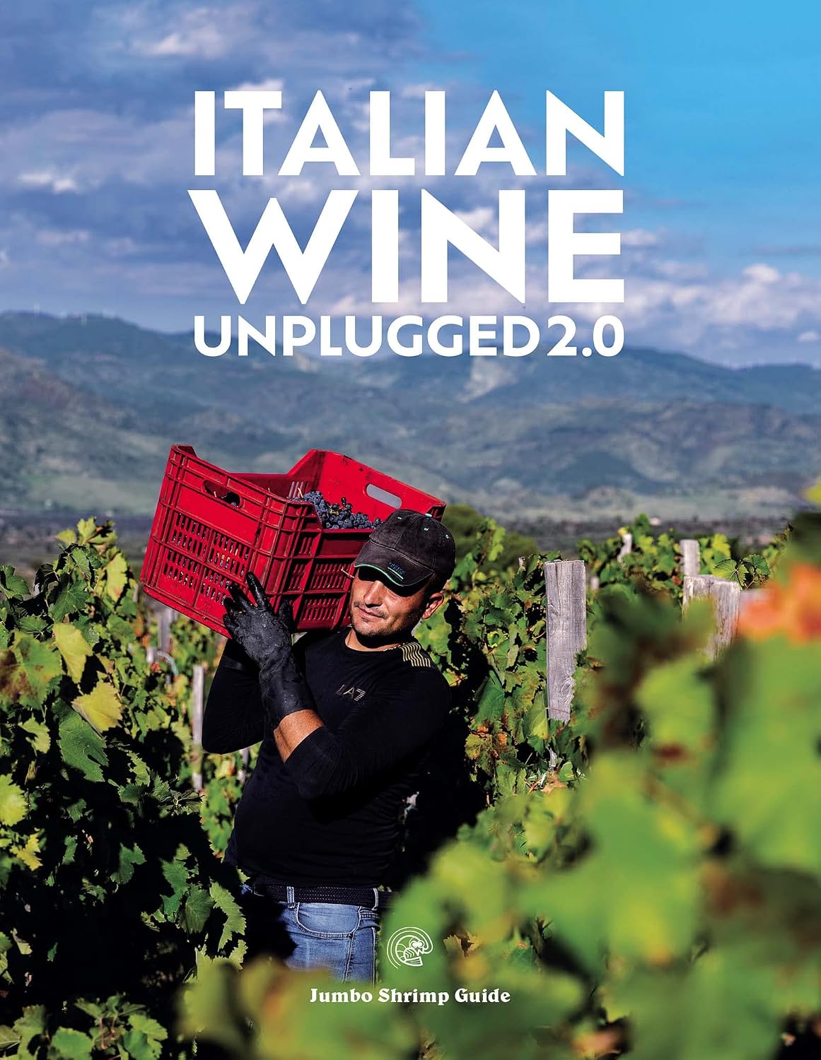 Italian Wine Unplugged 2.0 (English Edition) baixar livro de graça