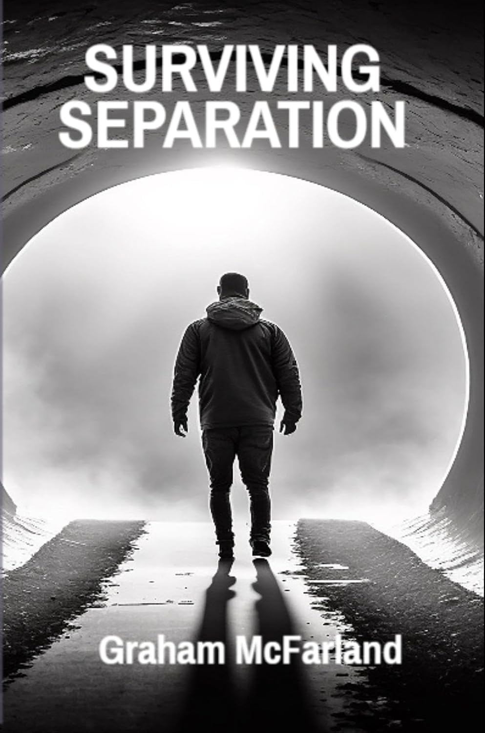 ler totalmente SURVIVING SEPARATION: Understanding Family Law Without Confusion (English Edition)