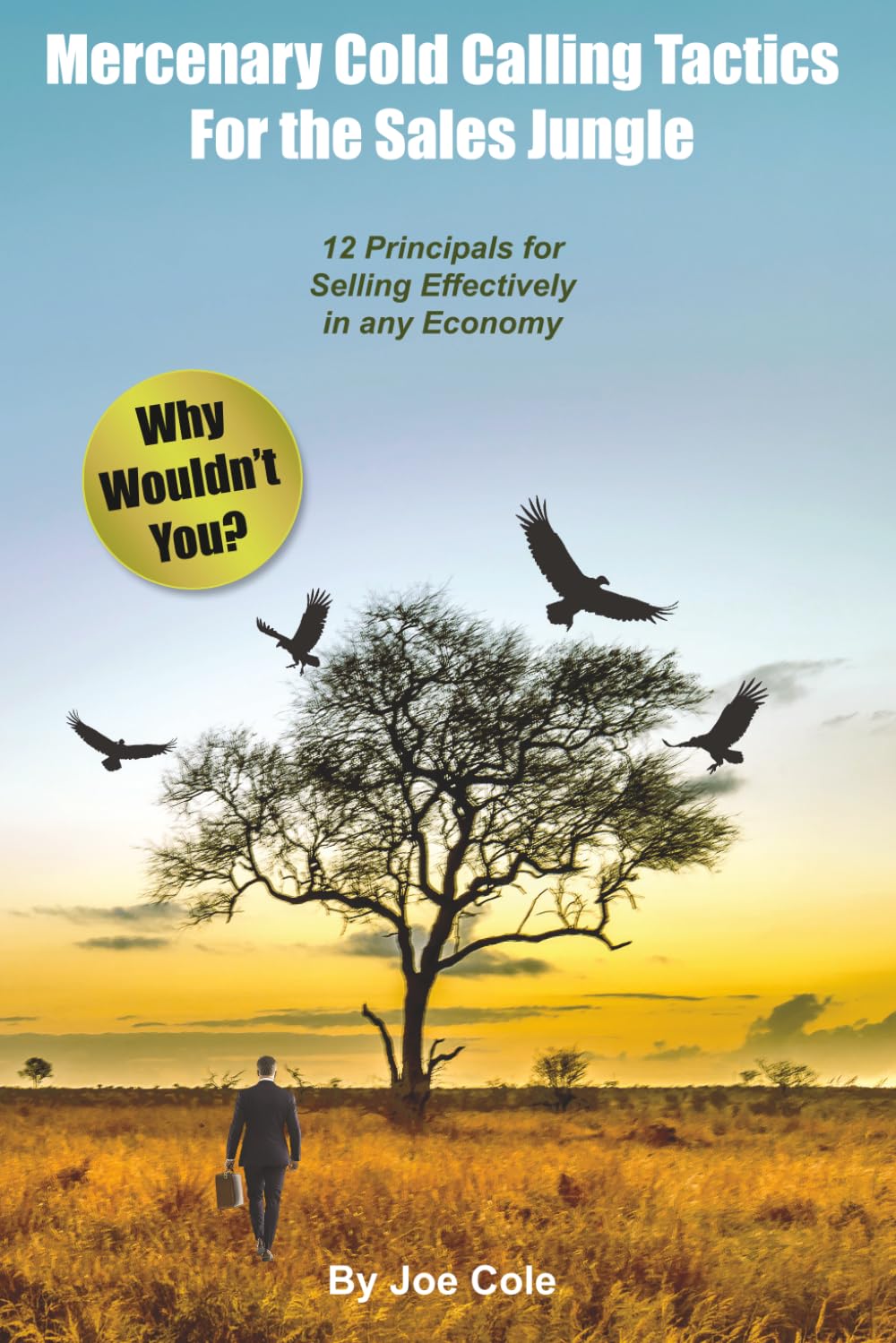 ler totalmente Mercenary Cold Calling Tactics for the Sales Jungle: 12 Principles for Selling Effectively in any Economy