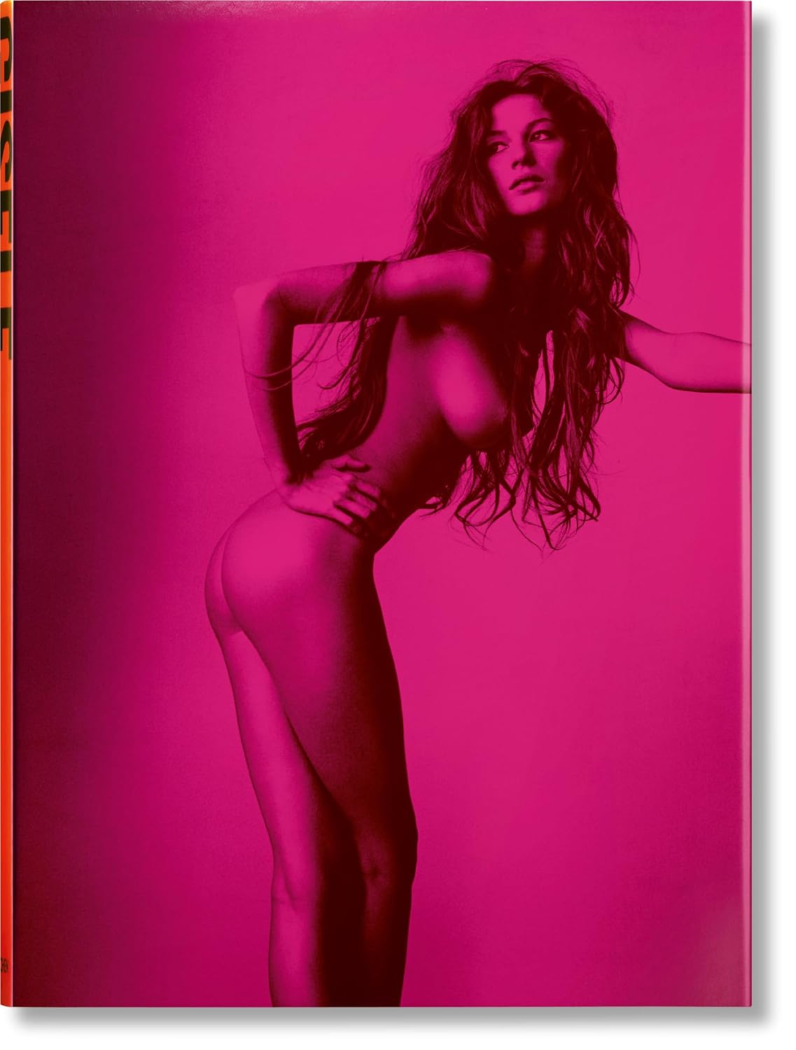 Gisele Bundchen baixar o livro de graça