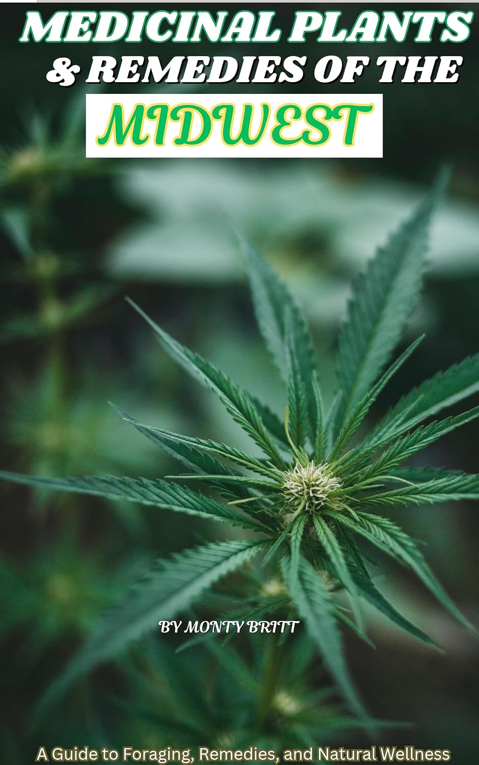 ler totalmente MEDICINAL PLANTS & REMEDIES OF THE MIDWEST: A Guide to Foraging, Remedies, and Natural Wellness (English Edition)