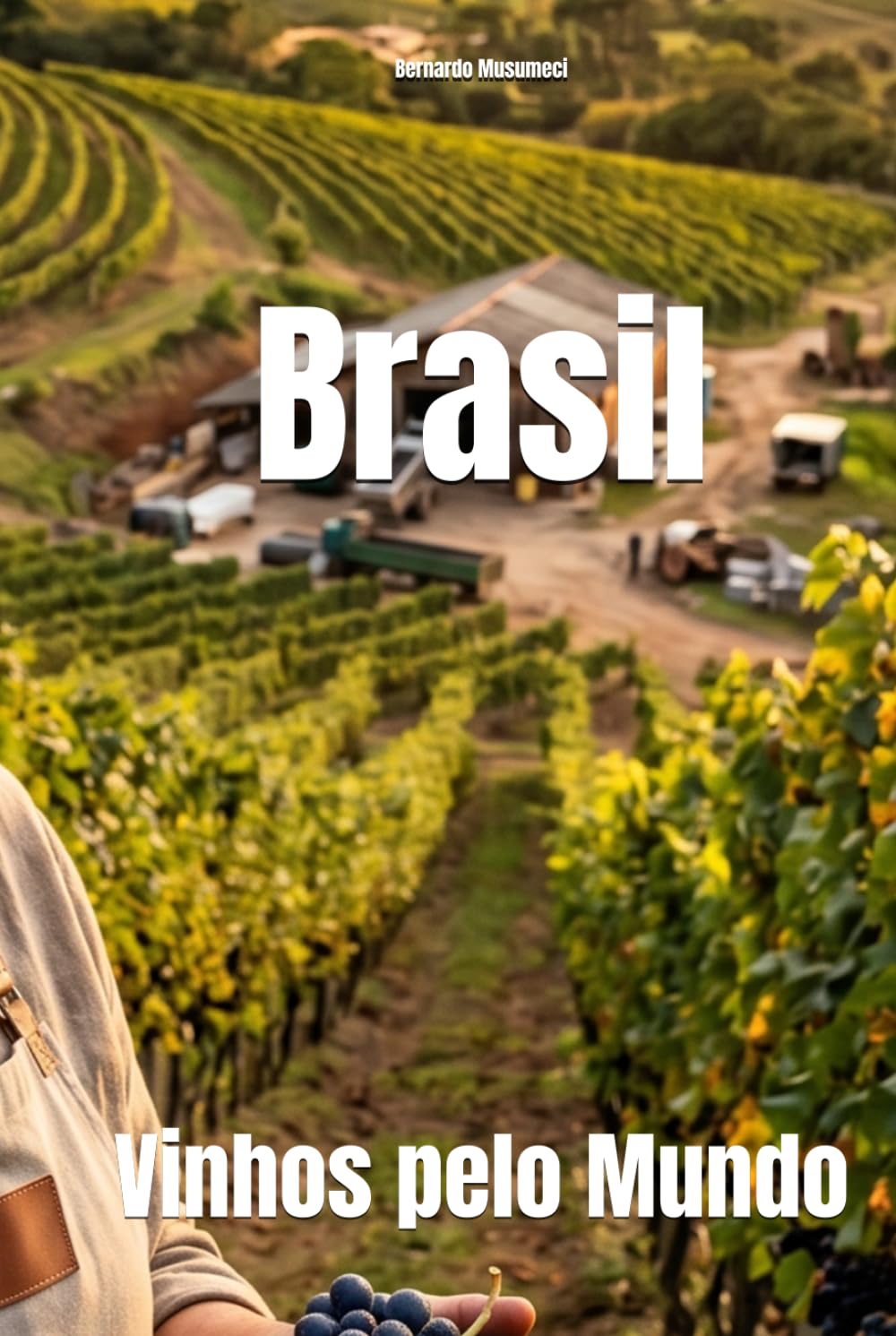 capítulo por capítulo baixar Brasil: Vinhos pelo Mundo (Wines of the World) (Portuguese Edition)