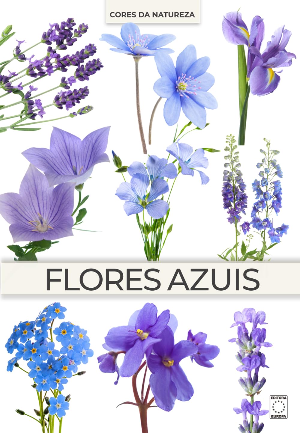 Coleção Cores da Natureza - Flores Azuis baixar livro de graça