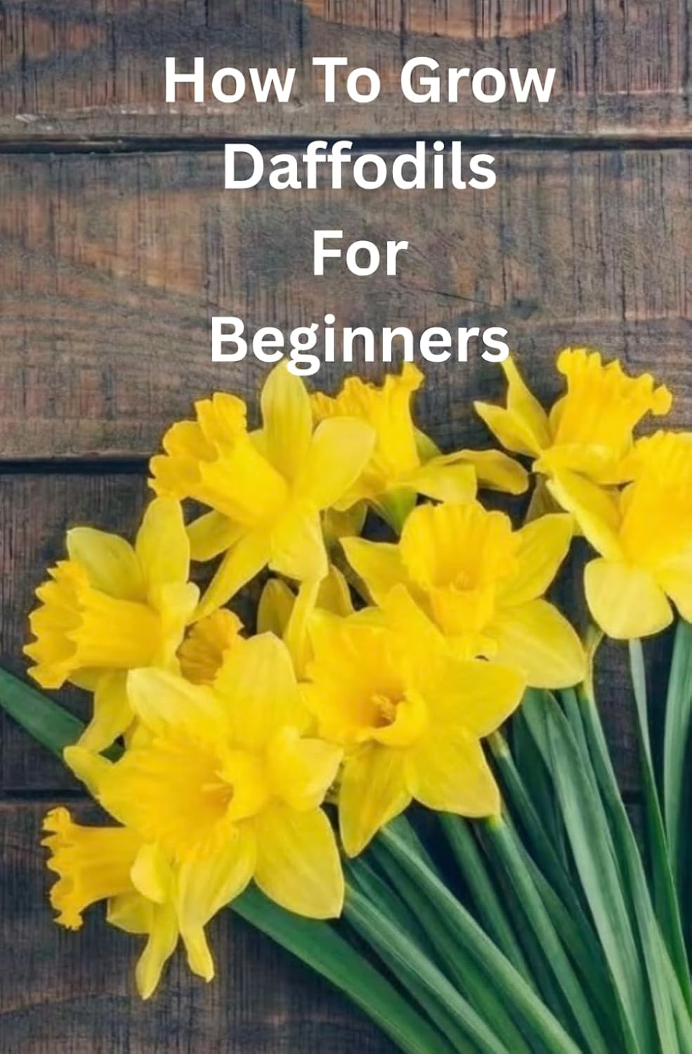 ler totalmente GROWING DAFFODILS FOR BEGINNERS: Everything You Need to Know to Grow And Care For Daffodils A Home.