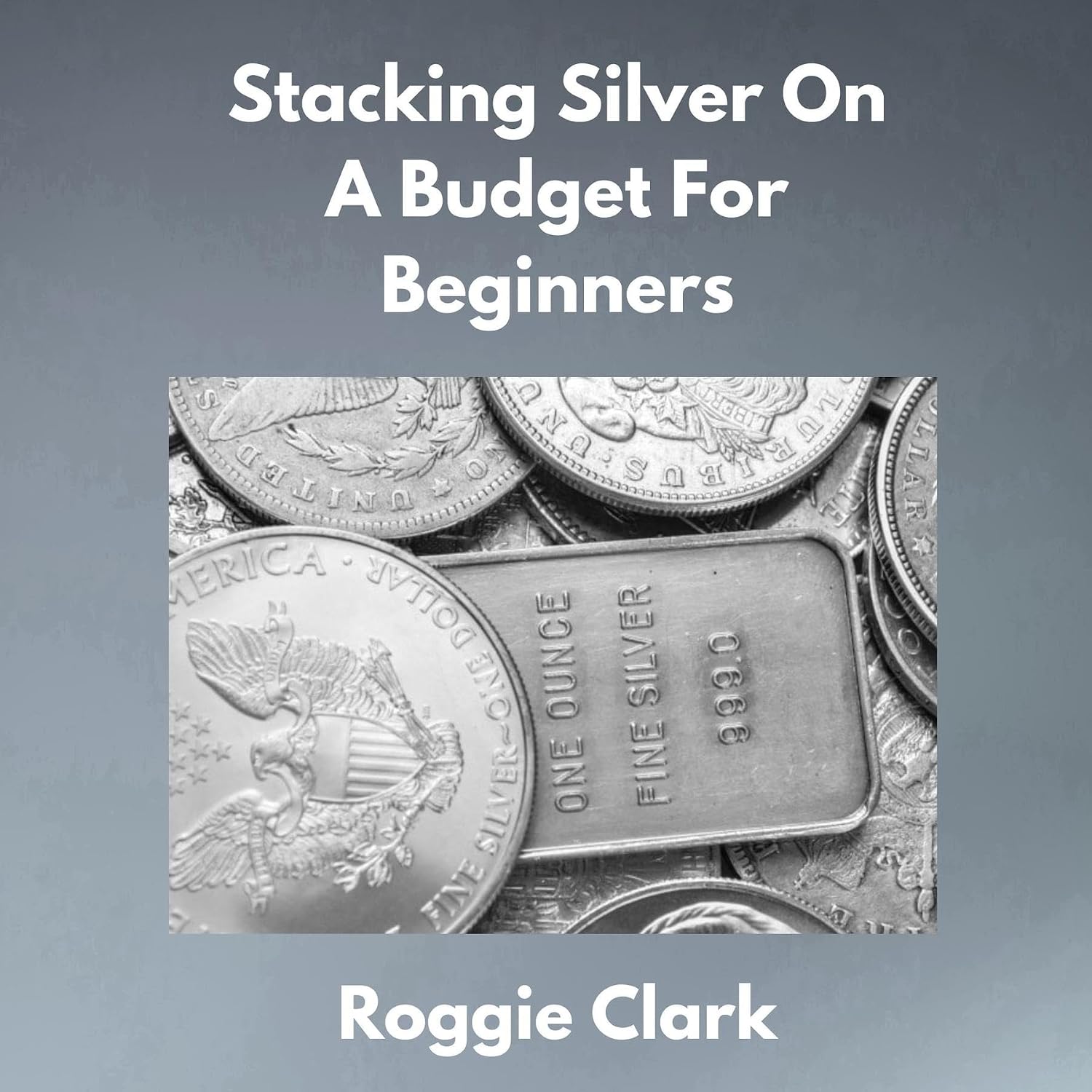 Stacking Silver On A Budget For Beginners: Simple Strategies for Investing in Silver With Little Money (English Edition) baixar o livro de graça