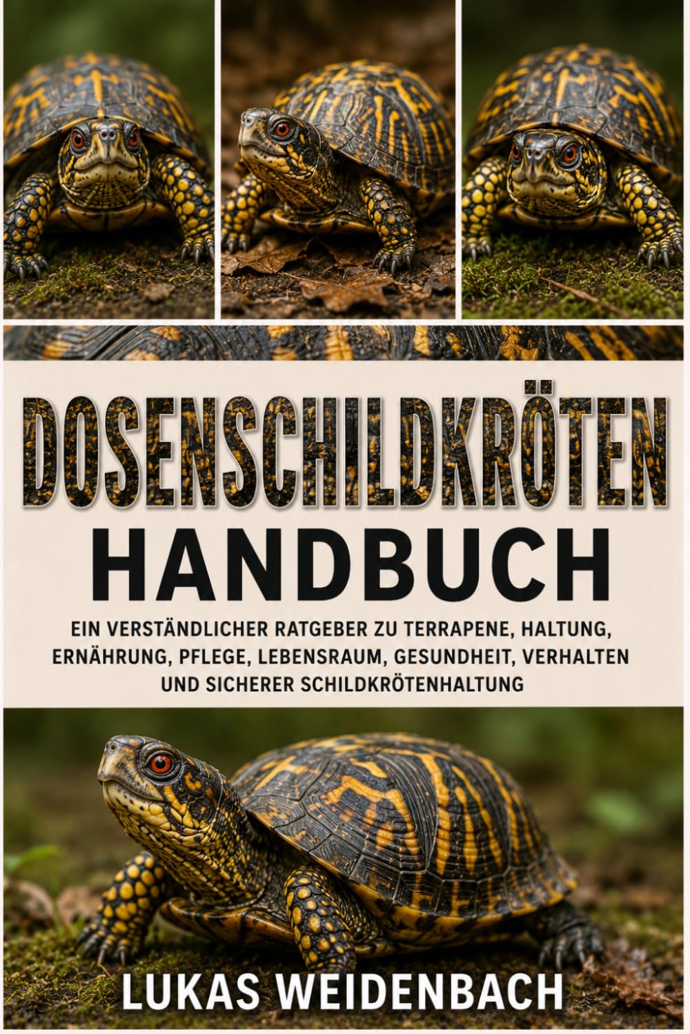Dosenschildkröten Handbuch: Ein verständlicher Ratgeber zu Terrapene, Haltung, Ernährung, Pflege, Lebensraum, Gesundheit, Verhalten und sicherer Schildkrötenhaltung (German Edition) baixar livro de graça
