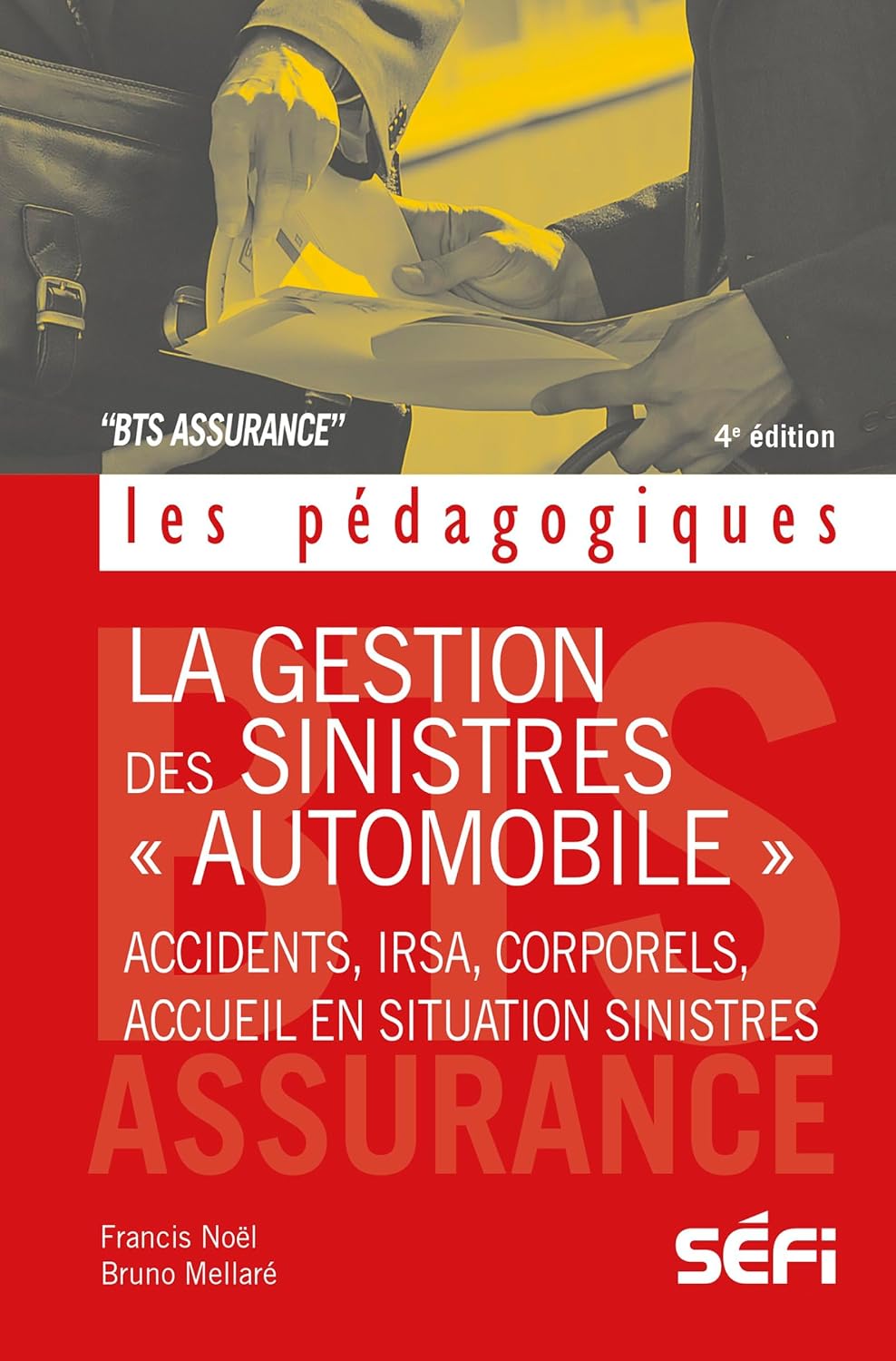 capítulo por capítulo baixar La gestion des sinistres « Automobile »: Accidents, IRSA, corporels, accueil en situation sinistres (French Edition)
