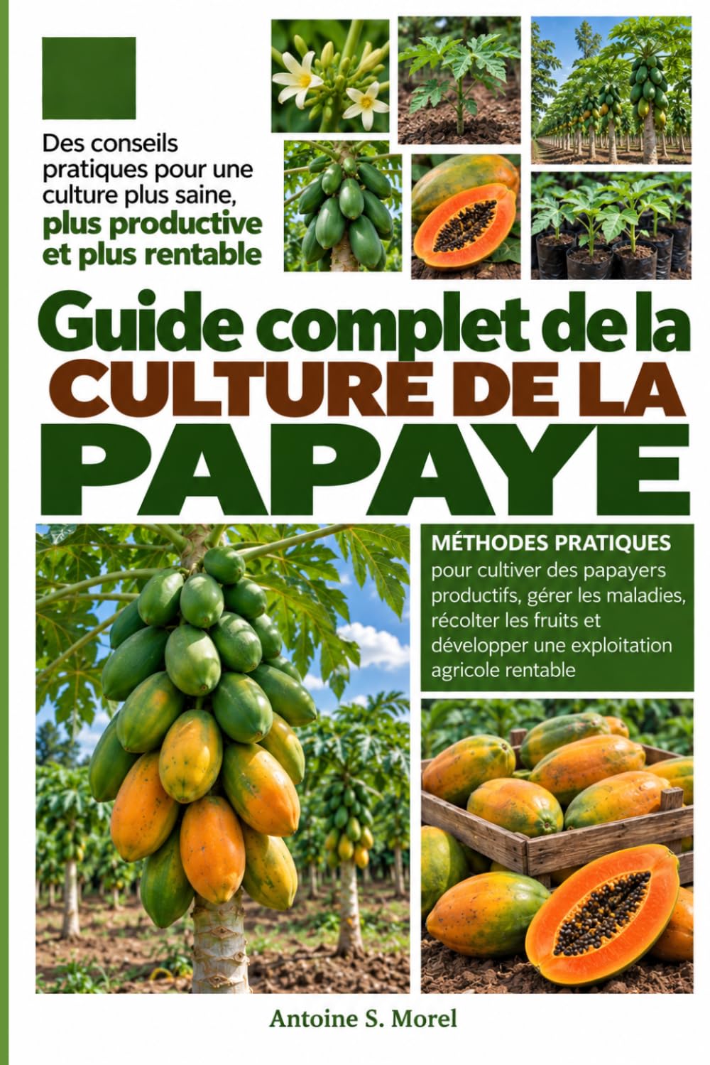 ler totalmente GUIDE COMPLET DE LA CULTURE DE LA PAPAYE: Méthodes pratiques pour cultiver des papayers productifs, gérer les maladies, récolter les fruits et... agricole rentable (French Edition)