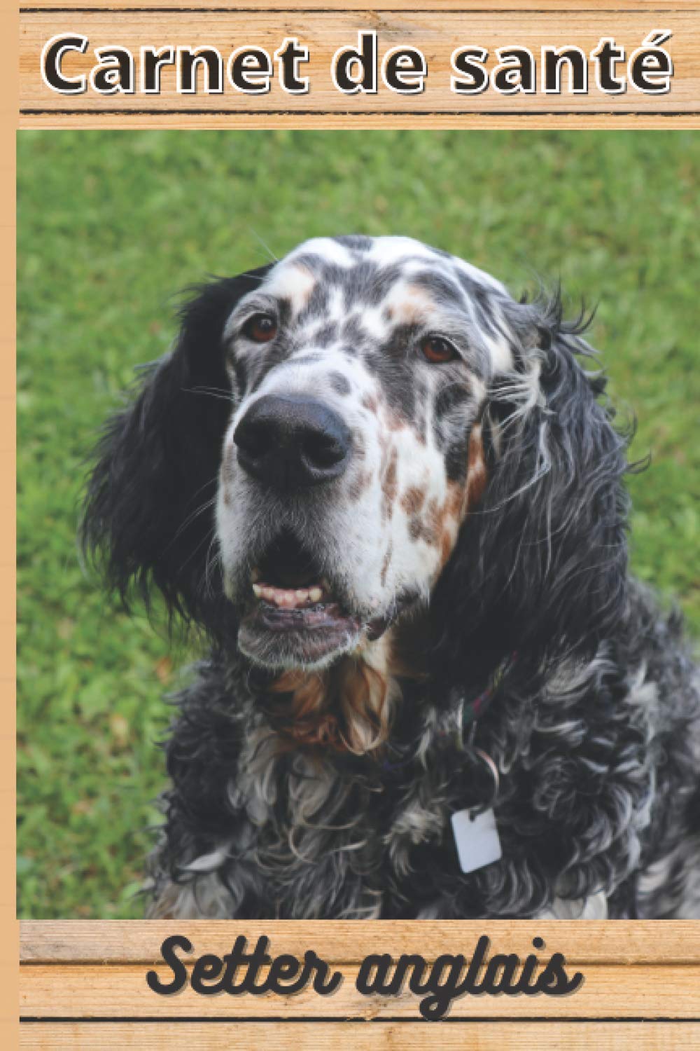 CARNET DE SANTE SETTER ANGLAIS: Mon cahier de suivi santé chien Setter anglais à remplir ou compléter | Mon carnet santé chien | cadeau idéal pour... cm sur 22,86 cm 101 pages (French Edition) baixar o livro de graça