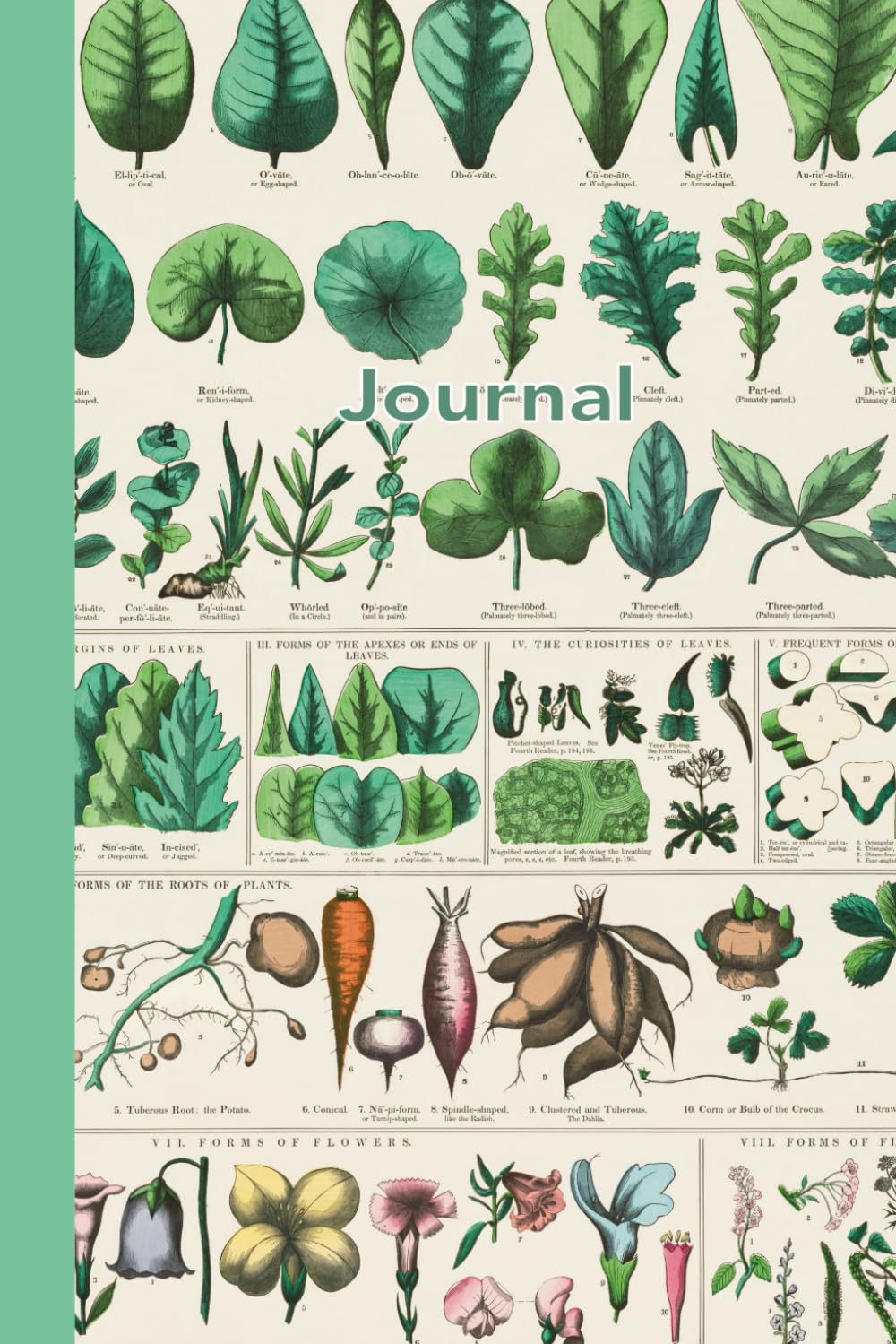 Journal Gardening Vintage Botanical Illustration: College Ruled | 110 Pages | 6 x 9 inches baixar o livro de graça
