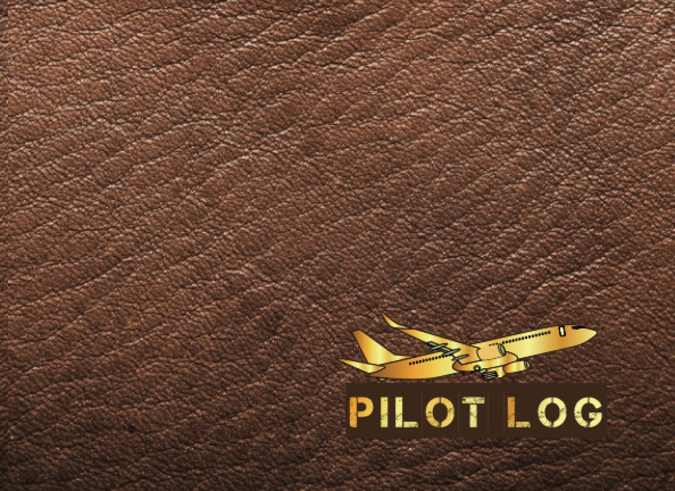 Pilot Log Flight: Log for Pilot Students, and Professional Pilots baixar livro de graça