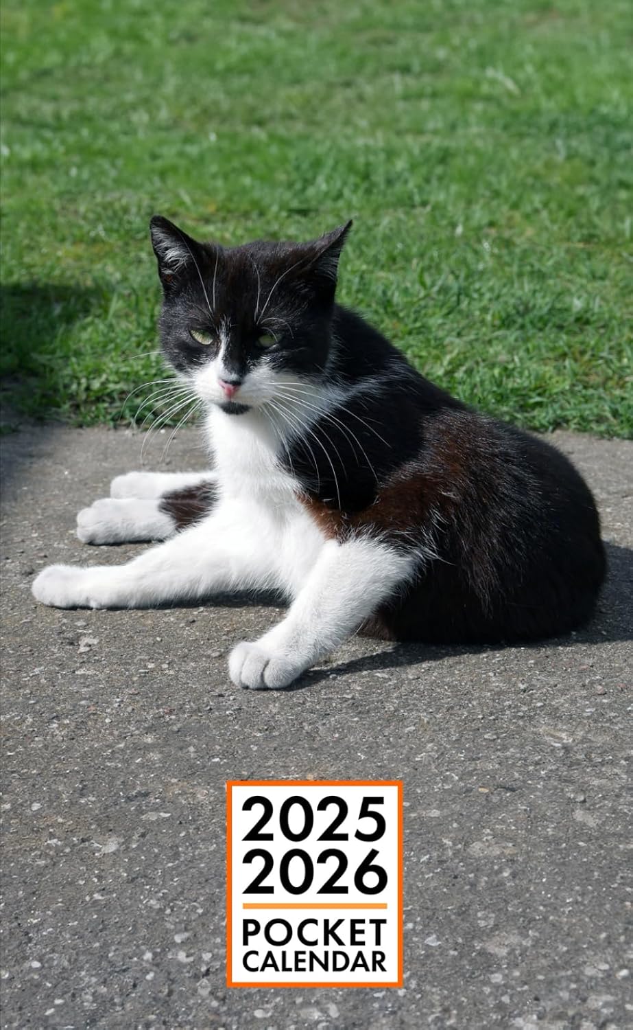 Pocket Calendar 2025-2026 for Purse - Black White Cat v1 | 2 Year Pocket Planner January 2025 - December 2026 | Small Pocket Size 4 x 6.5 | Sketches of Cats in the Middle baixar livro de graça