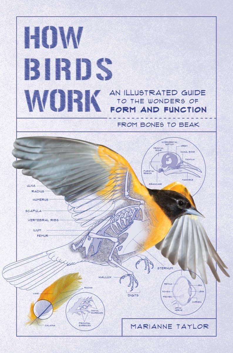 capítulo por capítulo baixar How Birds Work: An Illustrated Guide to the Wonders of Form and Function - From Bones to Beak: 0