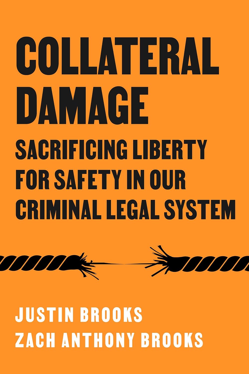 ler totalmente Collateral Damage: Sacrificing Liberty for Safety in Our Criminal Legal System (English Edition)