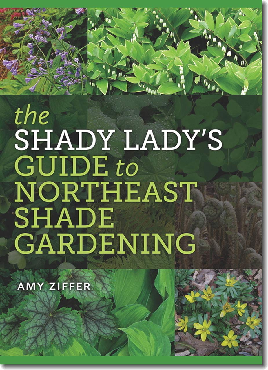 The Shady Lady's Guide to Northeast Shade Gardening baixar livro de graça