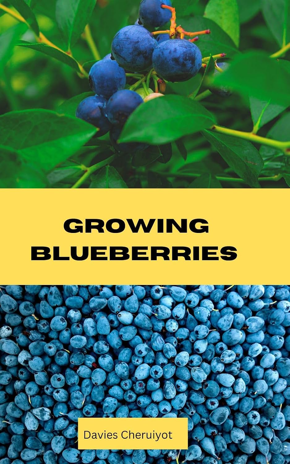 GROWING BLUEBERRIES (Fruits farming) (English Edition) baixar o livro de graça