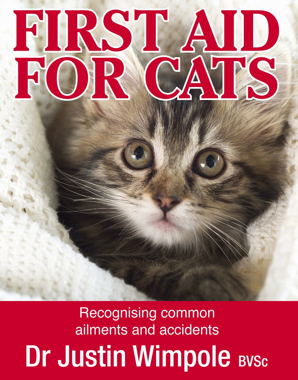 First Aid for Cats-Recognizing Common Ailments And Accidents (English Edition) baixar livro de graça