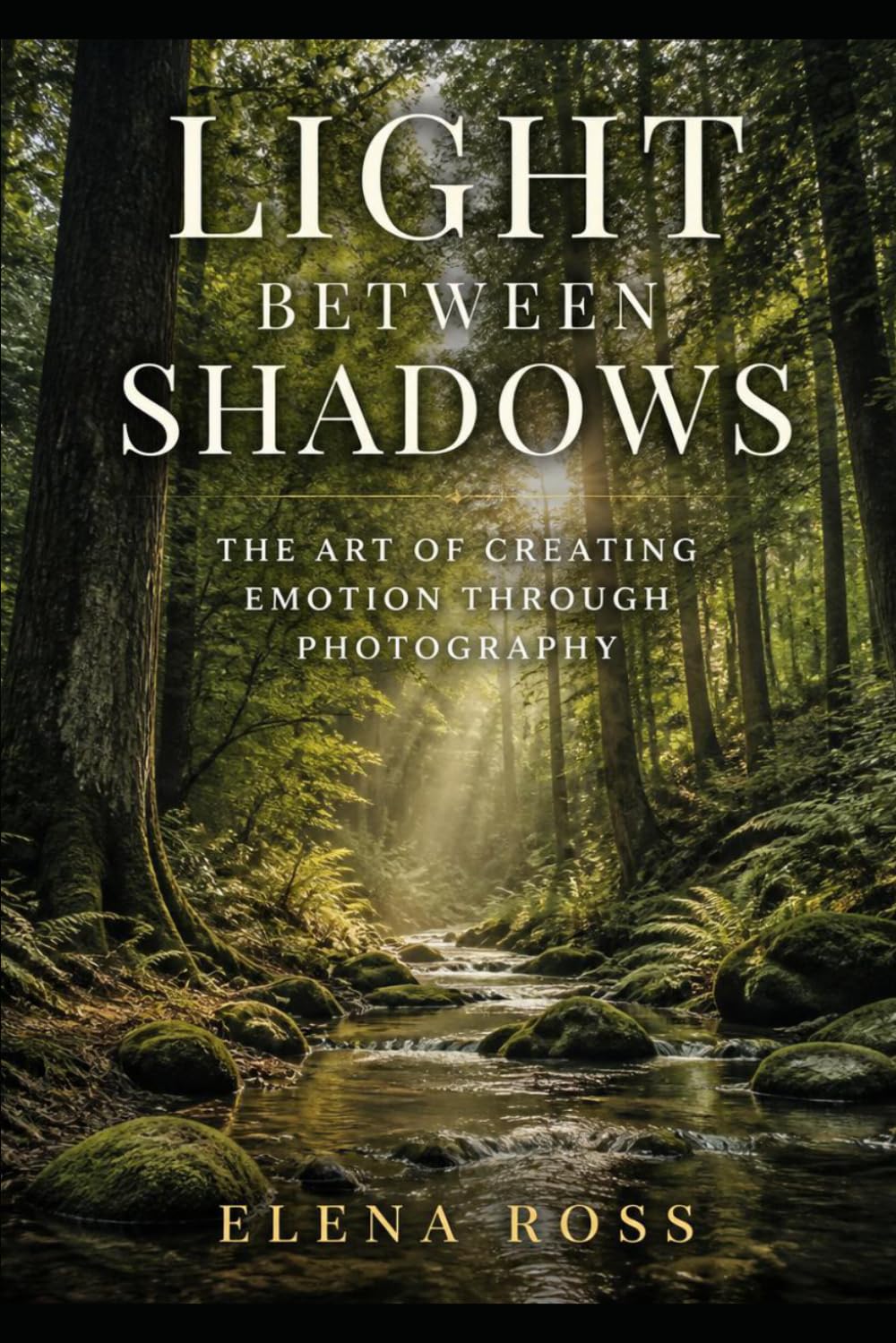 Light Between Shadows: The Art of Creating Emotion Through Photography baixar o livro de graça