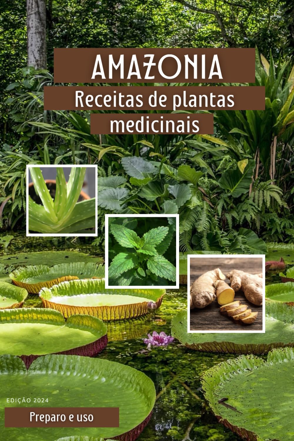 Receitas de plantas medicinais: melhores receitas com dicas e modo de preparo com plantas medicinais baixar livro de graça