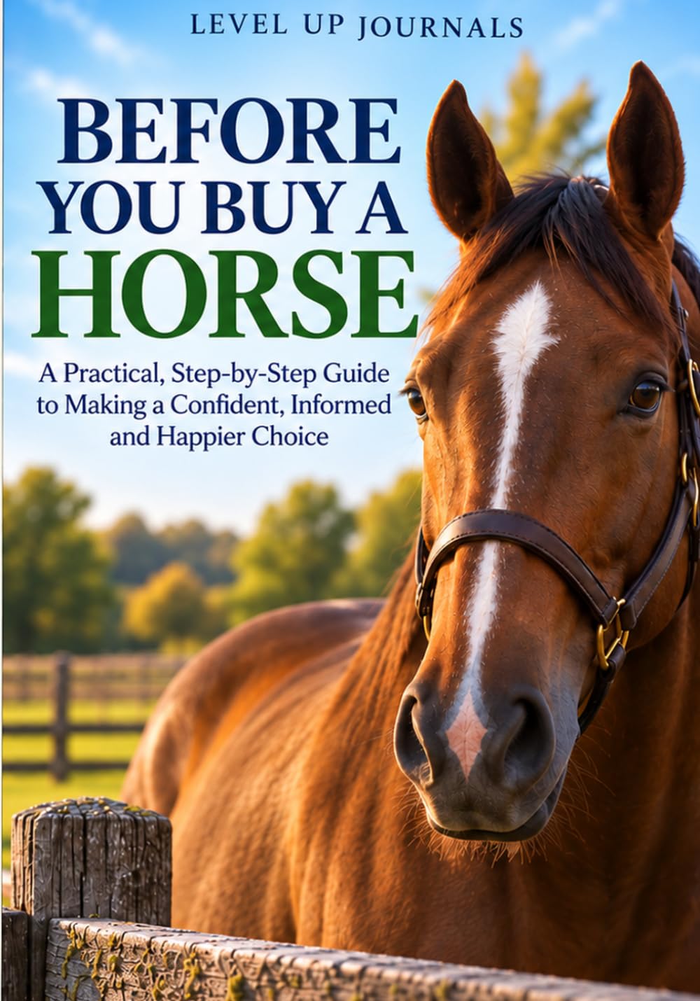 Before You Buy a Horse: A Practical, Step-by-Step Guide to Making a Confident, Informed and Happier Choice baixar livro de graça