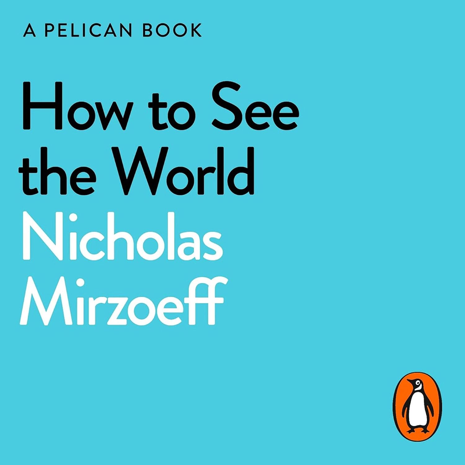 How to See the World baixar o livro de graça