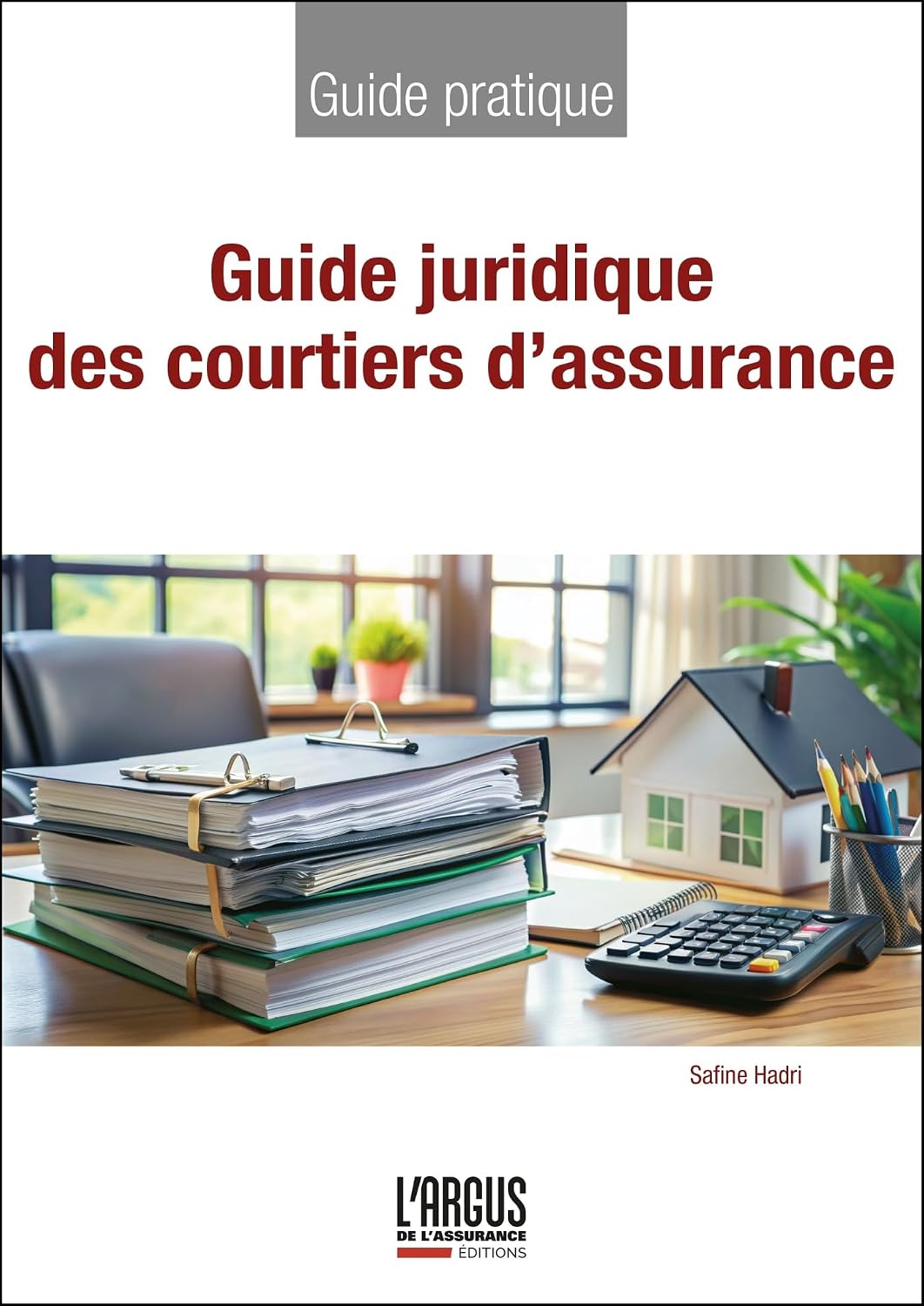 Guide juridique des courtiers d'assurance (French Edition) baixar livro de graça