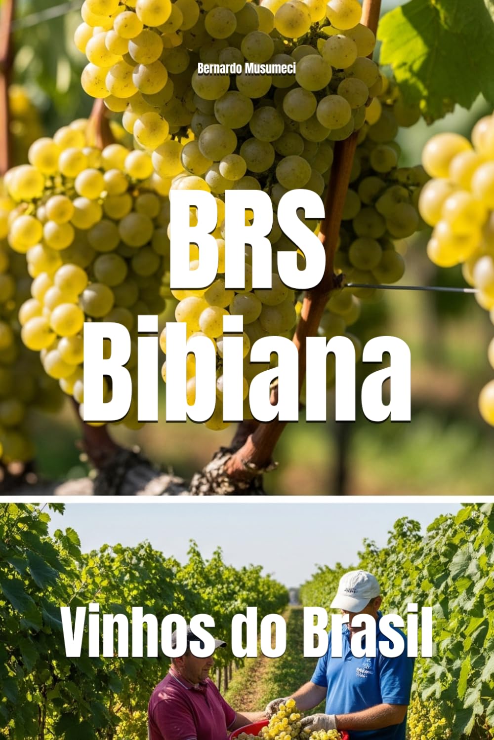 capítulo por capítulo baixar BRS Bibiana: Vinhos do Brasil (Wines of the World: Brazil) (Portuguese Edition)