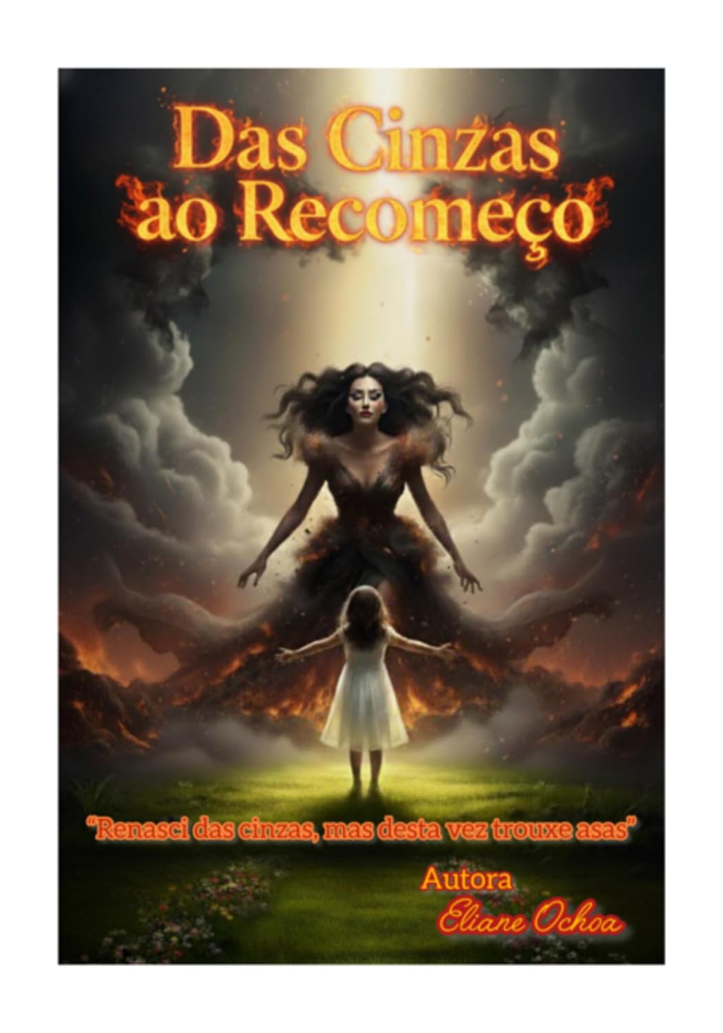 Das Cinzas Ao Recomeço baixar livro de graça