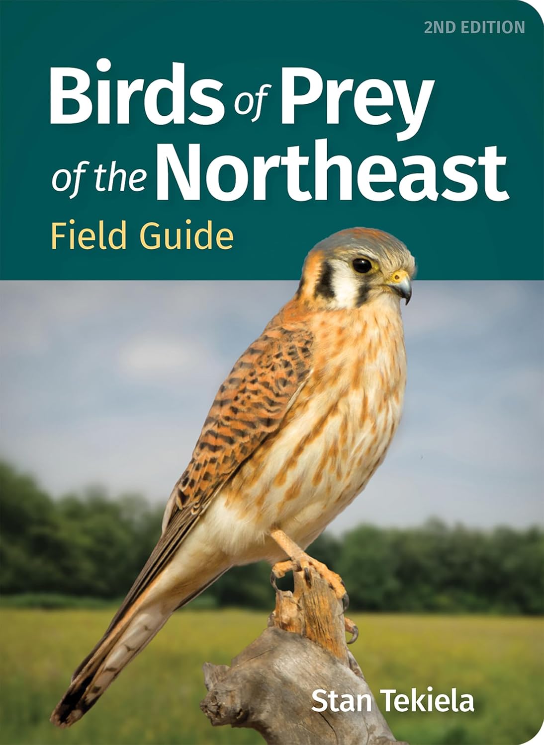 Birds of Prey of the Northeast Field Guide (Bird Identification Guides) (English Edition)