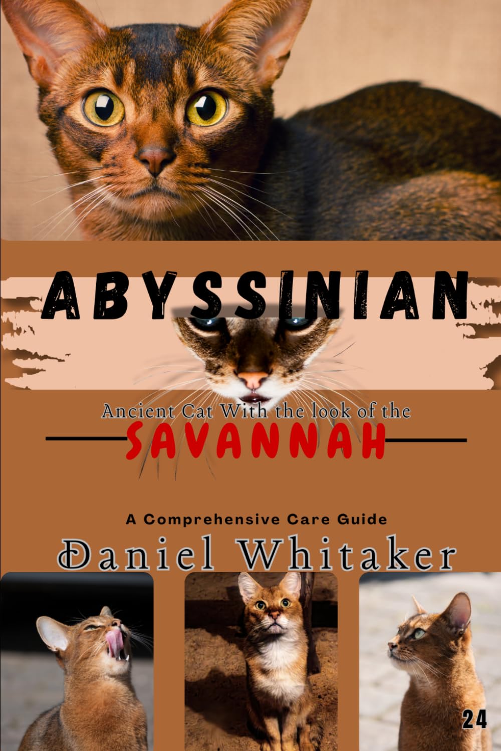 Abyssinian: Ancient cat with the look of the savannah (Daniel Whitaker's wildlife series) baixar livro de graça