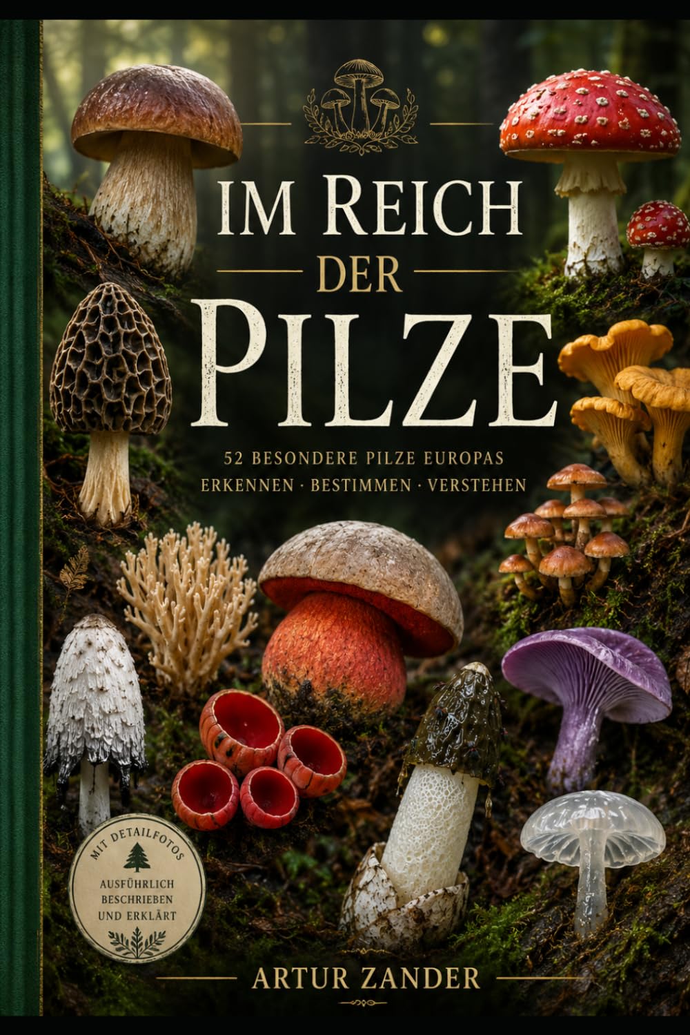 Im Reich der Pilze (German Edition) baixar livro de graça