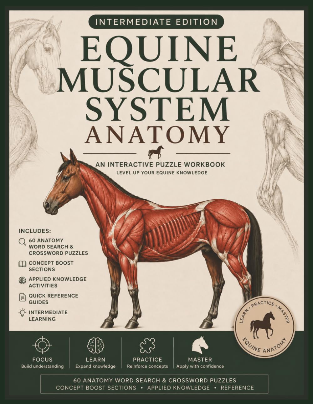 Equine Muscular System Anatomy Puzzle Book – Intermediate Edition: Understanding Movement, Strength & Performance Through Interactive Equine Anatomy Learning | 124 pages | 8.5 x 11 baixar o livro de graça