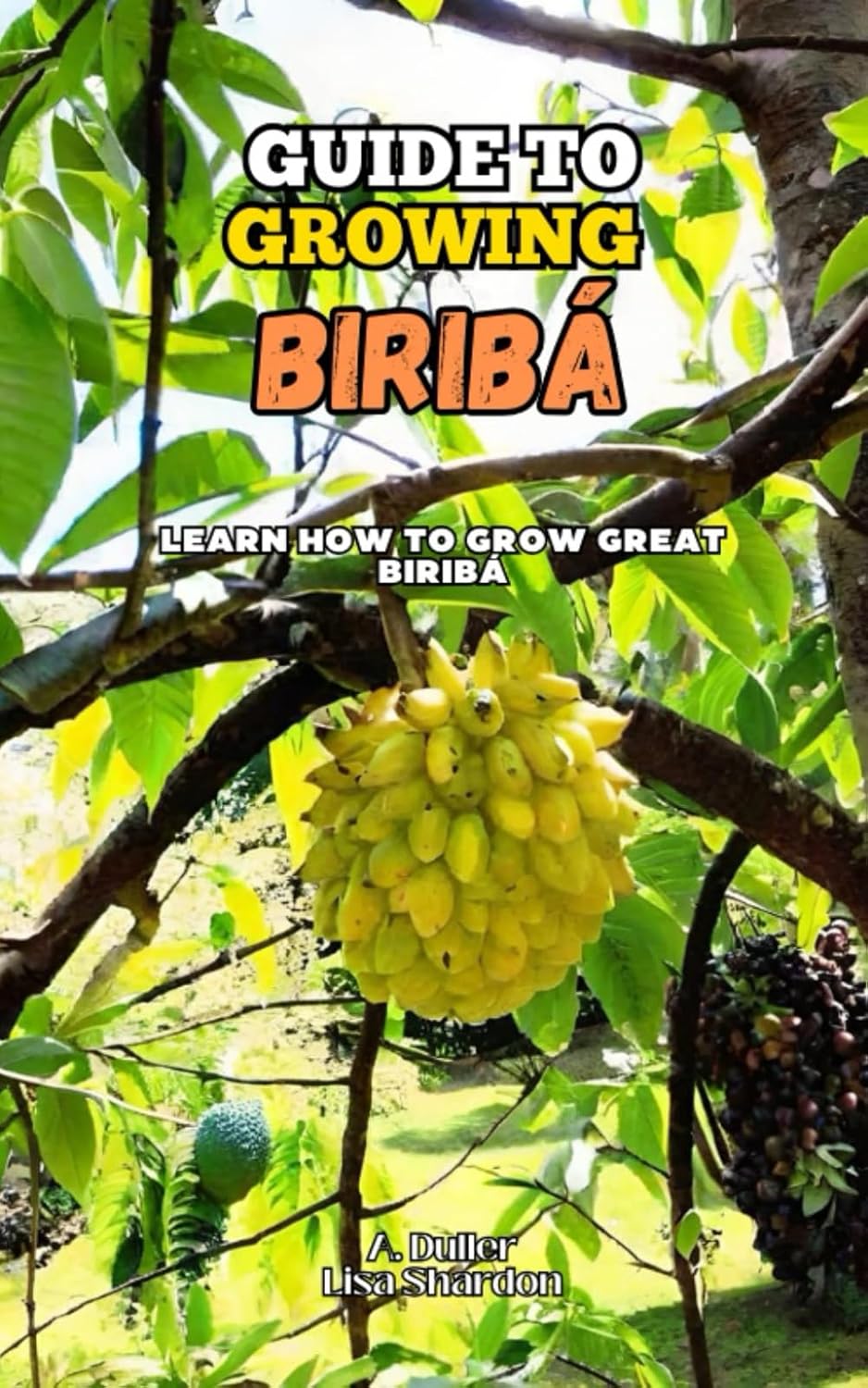 capítulo por capítulo baixar Guide to growing Biribá: Learn how to grow great Biribá