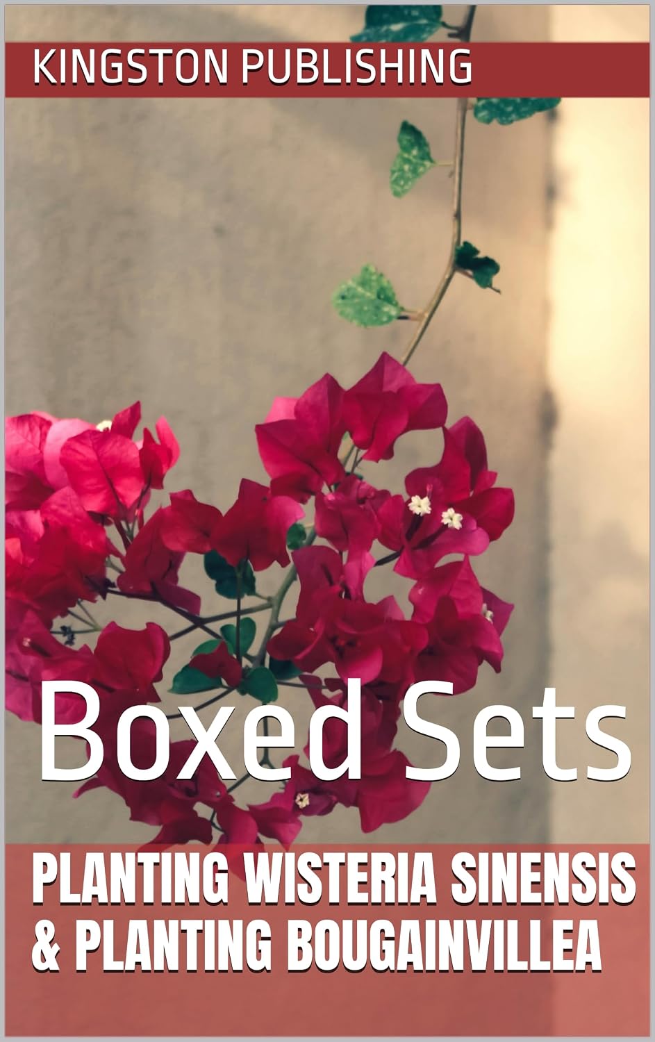 capítulo por capítulo baixar Planting Romantic Wisteria Sinensis & Bougainvillea: Boxed Sets (Planting Ornamentals) (English Edition)