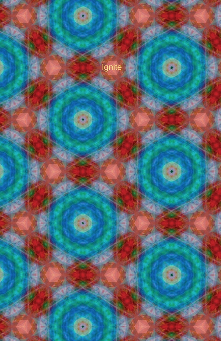 Ignite: Journal/Planner baixar livro de graça
