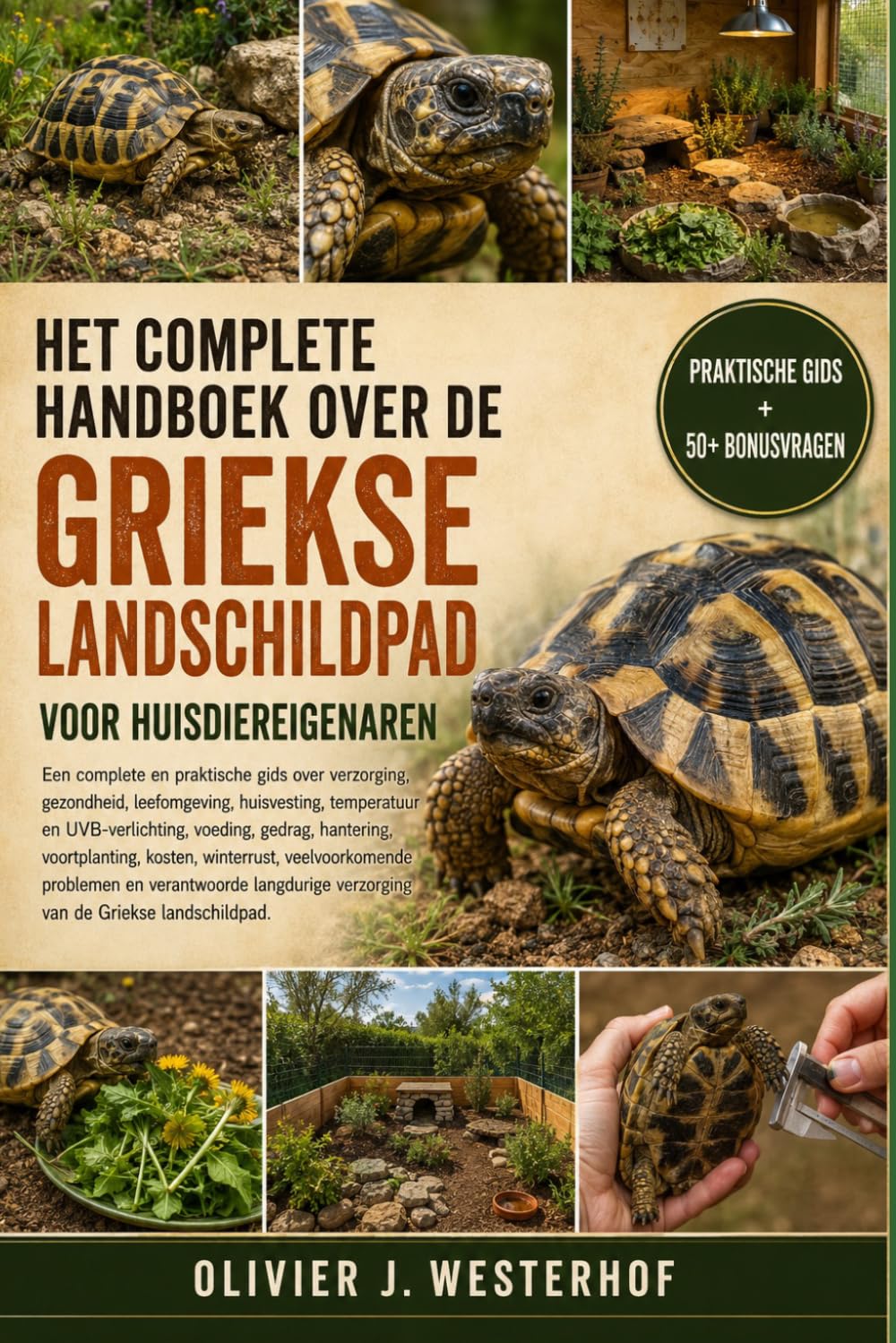 ler totalmente HET COMPLETE HANDBOEK OVER DE GRIEKSE LANDSCHILDPAD VOOR HUISDIEREIGENAREN: Een complete en praktische gids over verzorging, gezondheid....en... van de Griekse landschildpad. (Dutch Edition)